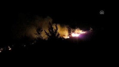 makilik alan - Trabzon'da makilik alanda yangın Videosu