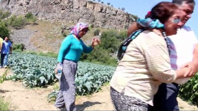 kurban bayrami -  30 metre yükseklikten kayalıklara düşen genç hayatını kaybetti Videosu