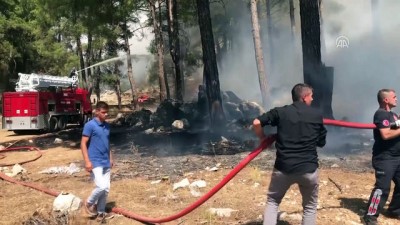 mangal komuru - Akseki'de orman yangını (2) - ANTALYA Videosu