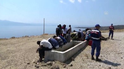 akkale - 93 düzensiz göçmen yakalandı - ÇANAKKALE Videosu
