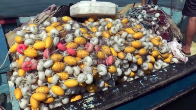 alamut - Kurban Bayramı balık fiyatlarını düşürdü - DÜZCE Videosu