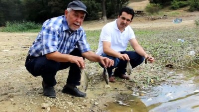 bayram tatili -  Kütahya'da esrarengiz balık ölümleri  Videosu