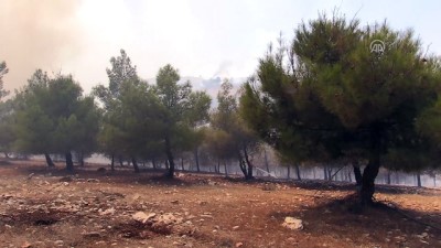 ormanli - Orman yangını (2) - ŞANLIURFA  Videosu