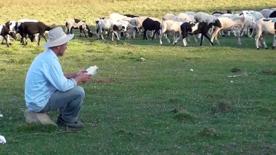 Üniversiteli çobanın okuma azmi - KONYA 