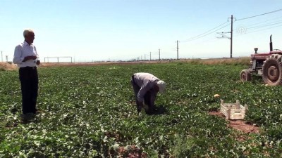 Yazıhan Ovası'nda su bereketi - MALATYA 