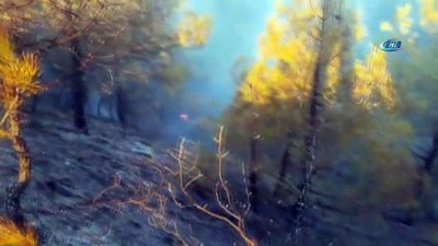 orman yangini -  Sivas’ta orman yangını Videosu