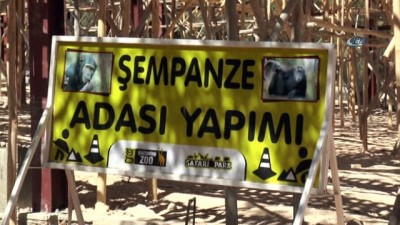 ziyaretciler -  Gaziantep Hayvanat Bahçesi’ne yeni maymun evi  Videosu