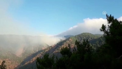 leman - Hatay'da orman yangını  Videosu