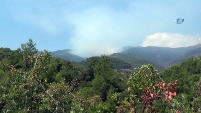 is makinesi -  Hatay’daki orman yangını kontrol altına alındı  Videosu