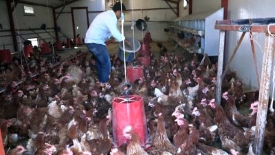 bicak sirti -  Medyada haberlerini gördü, devlet desteği ile çiftlik kurdu  Videosu