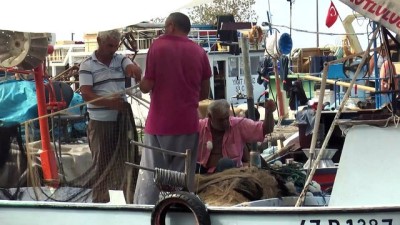 Balıkçının umudu palamutta - DÜZCE 