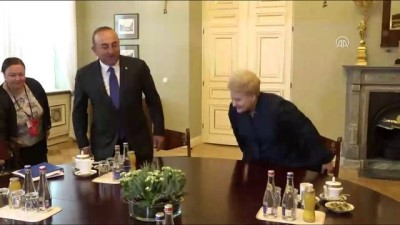 Dışişleri Bakanı Çavuşoğlu, Litvanya Cumhurbaşkanı Grybauskaite ile görüştü - VİLNİUS 