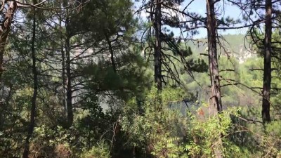 orman yangini - Orman yangını - KARABÜK  Videosu