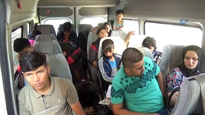 akkale -  Çanakkale’de ormanlık alanda 48 mülteci yakalandı  Videosu