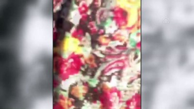 sokak kopekleri - Aydın'da köpeğe sopayla vurulduğu iddiası Videosu