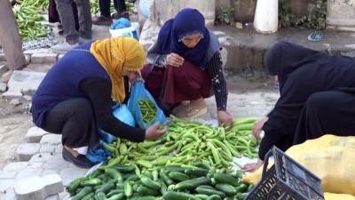 hastalik -  Gercüş'te yerli ve organik ürün bereketi Videosu
