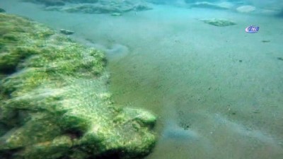 tatbikat -  Jandarma tatbikat amaçlı göle daldı, 2 tabanca buldu  Videosu