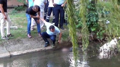 kalp krizi -  Yalova’da derede erkek cesedi bulundu Videosu