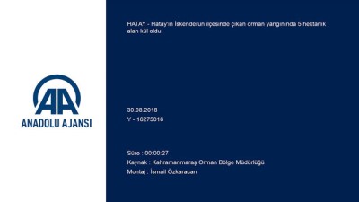 orman yangini - İskenderun'da orman yangını - HATAY Videosu