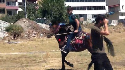 at yarislari -  - Solhan'da yöresel at yarışları ile çifte kutlama  Videosu