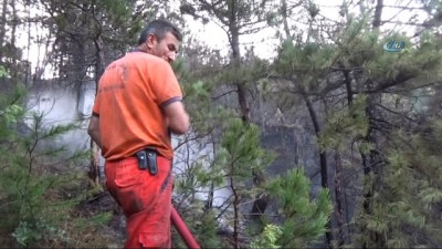  Bolu’da, 2 hektarlık orman arazisi yangında zarar gördü