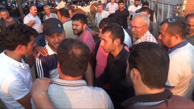 hayvan pazari -  Aydın Hayvan Pazarı'nda kurban öncesi durgunluk  Videosu