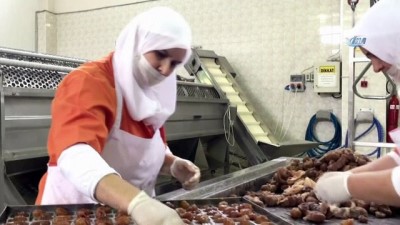 korfez -  Bursa kestanesi Fransız kestanesini tahtından etti  Videosu