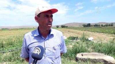 sparta - Muhtar Kartal: 'Konu askerimizse canımız feda olsun' - AFYONKARAHİSAR Videosu