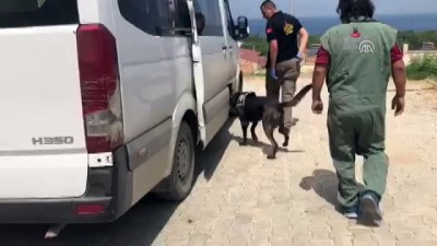 eroin - Van'da uyuşturucu operasyonu  Videosu