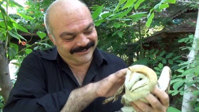 olimpiyat -  Yaralı baykuşa ‘şampiyon’ şefkati  Videosu