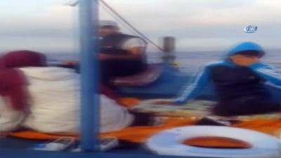 yunuslar -  Yunuslar balıkçı teknesiyle yarıştı... O anlar kameralara böyle yansıdı  Videosu