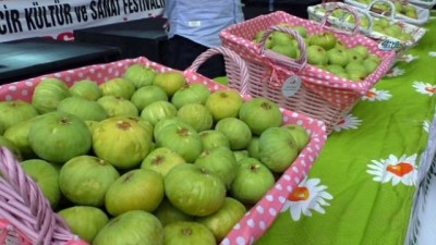 halk oyunlari -  Buharkent'in taze inciri festivalle tanıtıldı  Videosu