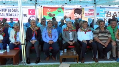  ‘Tolgadirliler Dulkadirliler Türkmen Toyu... Etkinlikte Türk gelenek ve görenekleri tekrar yaşatıldı 