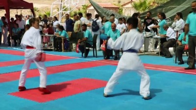 dunya sampiyonu - Uluslararası Haldun Alagaş Karate Turnuvası - DENİZLİ Videosu