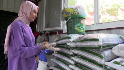 solucan gubresi - İş hayatında başarıyı 'solucanlarla' yakaladı - HATAY  Videosu