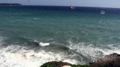 yunuslar - Kıyıköy açıklarında ölü iki yunus bulundu - KIRKLARELİ  Videosu