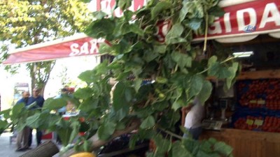 direksiyon -  Kontrolden çıkan otomobil manav sergisine daldı  Videosu