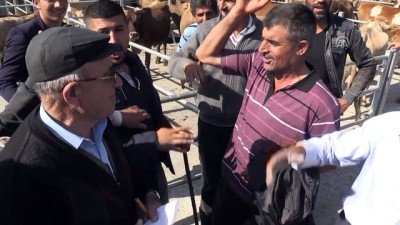 hayvan pazari - Kurbanlıklar yola çıkarıldı - KARS  Videosu