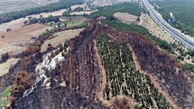 orman yangini -  Buca'da küle dönen alan havadan böyle görüntülendi  Videosu