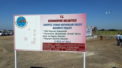 hayvan sevgisi -  İşbilen: “İnsanların bize tolerans göstermesini istiyoruz” Videosu