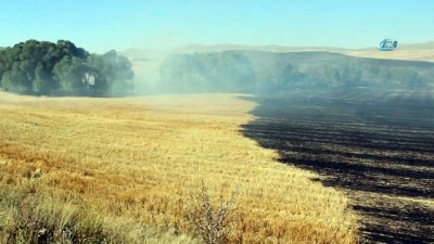 tarim arazisi -  Kuru otları yakmak isterken tarlayı yaktı  Videosu