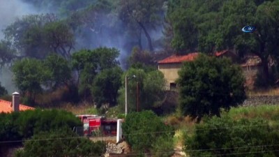 orman yanginlari -  - Portekiz Orman Yangınlarını Durduramıyor Videosu