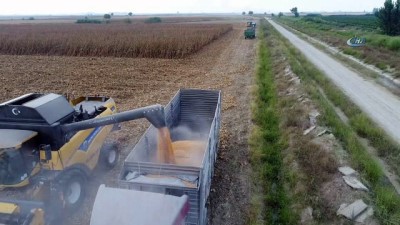 joker -  Türkiye’nin mısır üretiminde 1. sırada yer alan Adana’da hasat başladı...Hasat havadan görüntülendi  Videosu