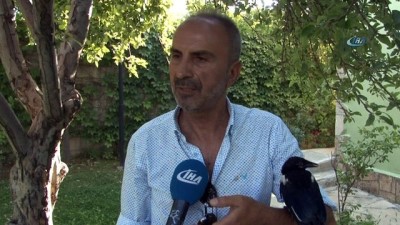 hayvan sevgisi -  Vanlı iş adamının hayvan sevgisi  Videosu