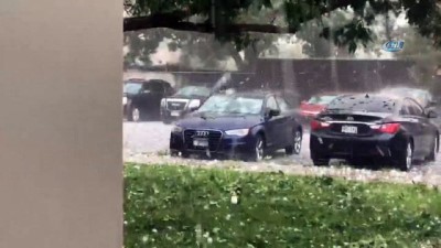 hayvanat bahcesi -  - ABD’de Ceviz Büyüklüğünde Dolu Yağdı  Videosu