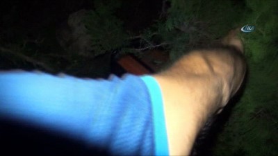 kacak kazi -  Antalya'da defineciler ormanı yaktı  Videosu