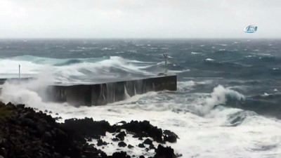 felaket -  - Aşırı Sıcaklar, Yerini Tayfun Endişesine Bıraktı  Videosu