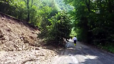 sel afeti - Çaybaşı Belediye Başkanı İsmet Yanık:'3 bin hektara yakın fındık arazisi zarar gördü' - ORDU  Videosu