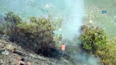 orman yangini -  Ödemiş'te korkutan orman yangını Videosu