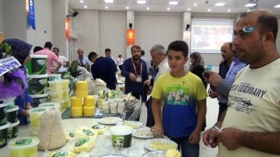 50 milyon dolar -  Doğu Anadolu’nun birbirinden lezzetli peynirleri Bitlis’te buluştu Videosu